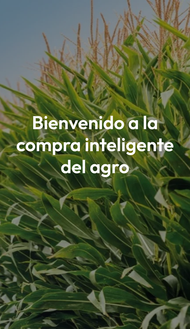 Vista aerea de cultivos