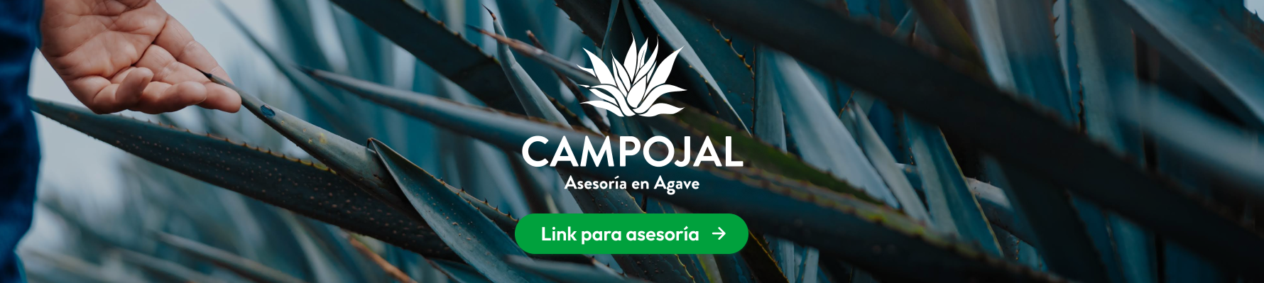 Asesoría Campojal